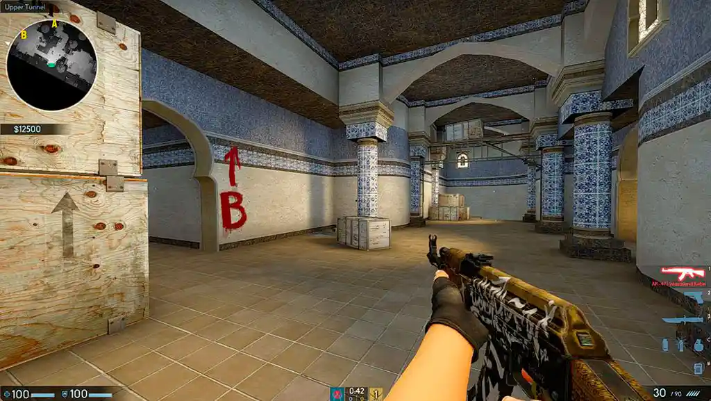 First Person Shooter: Counter Strike: Global Offensive